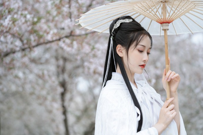 第二十条 封面